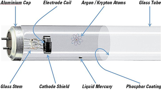 cold cathode fluorescent lamp